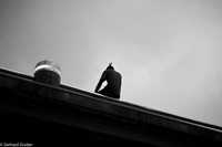 L1003052 5 54
