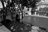 Img 1066 66 32