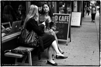L1001064 ny