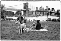 Img 5710 ny
