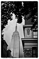 L1001110 ny