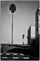 L1001707 bearbeitet