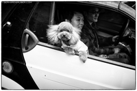 Img 7372x