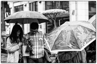 Img 7307x