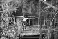 Img 4946