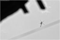 Img 4873