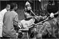 Img 4784